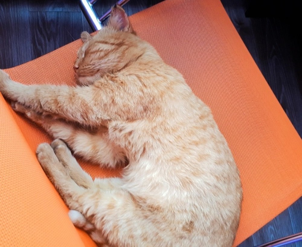 Photograph by Олеся