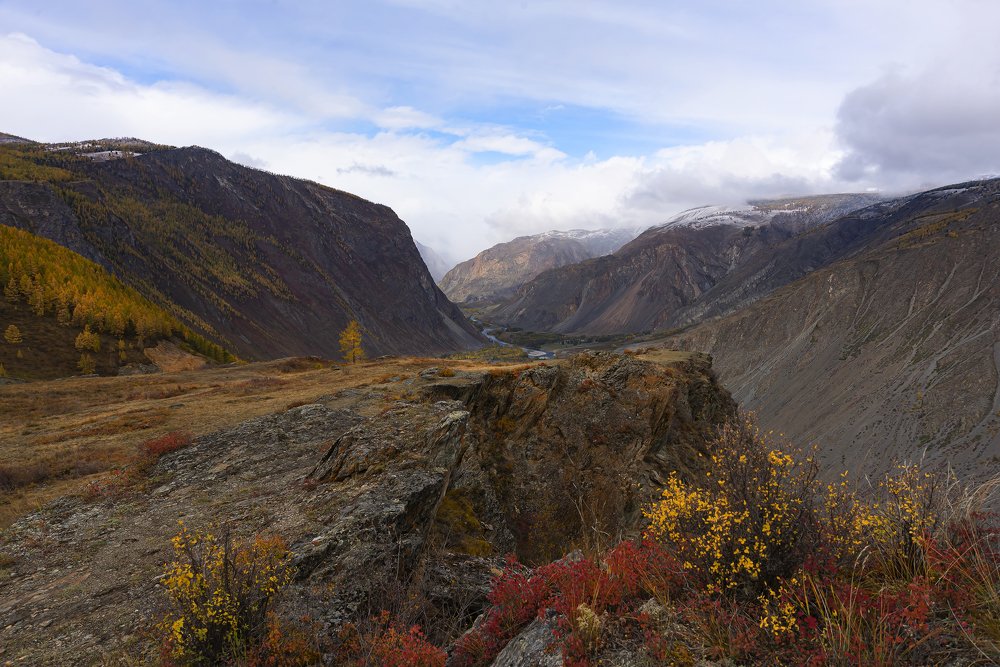 Золото Алтая.