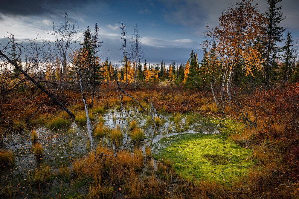 Photograph by Евгений Кужилев