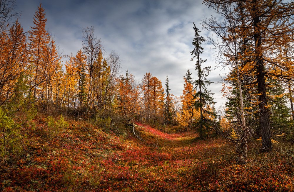 Photograph by Евгений Кужилев