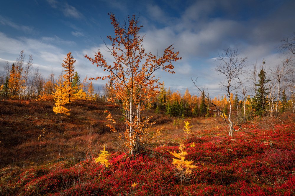 Photograph by Евгений Кужилев