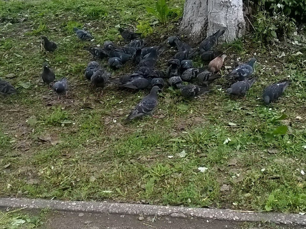 Photograph by Любовь Панфилова