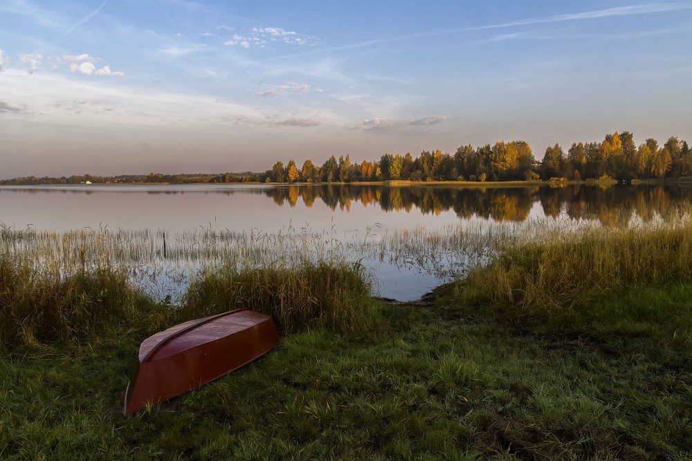 Photograph by Александра Шайдурова