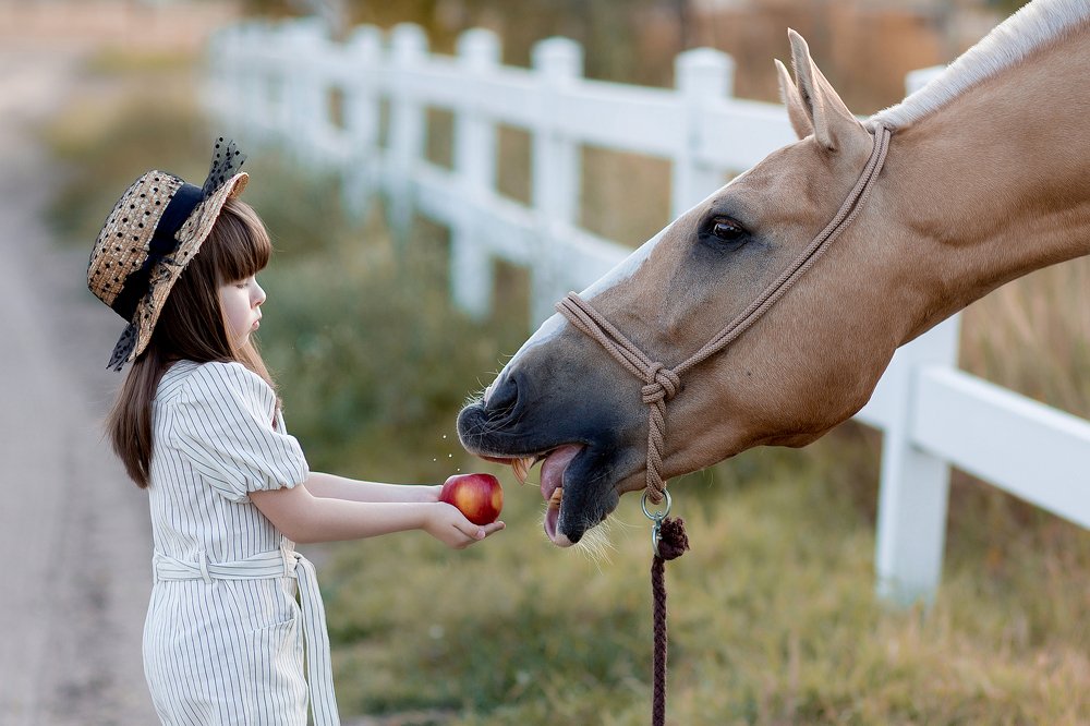 Photograph by Юлия Горючкина