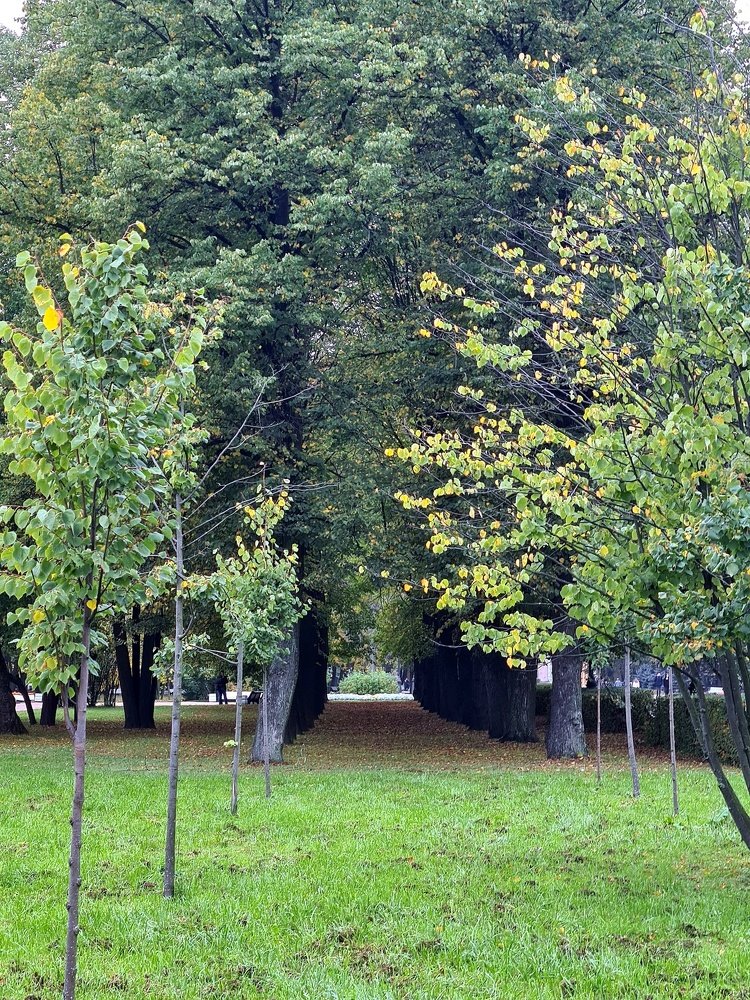 Photograph by Светослава Пряникова