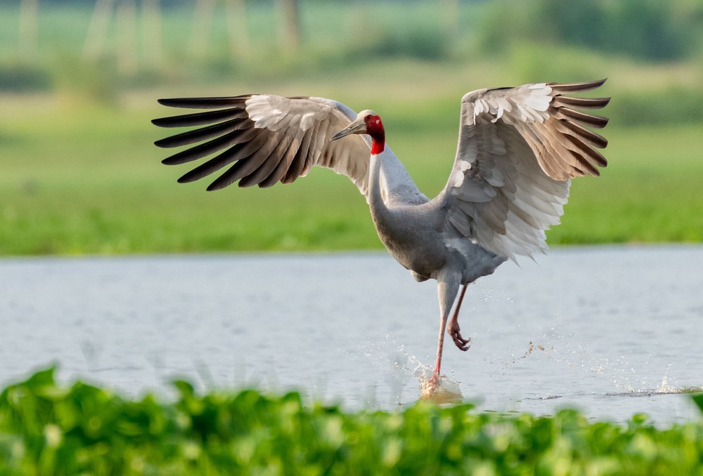 Ready for take off