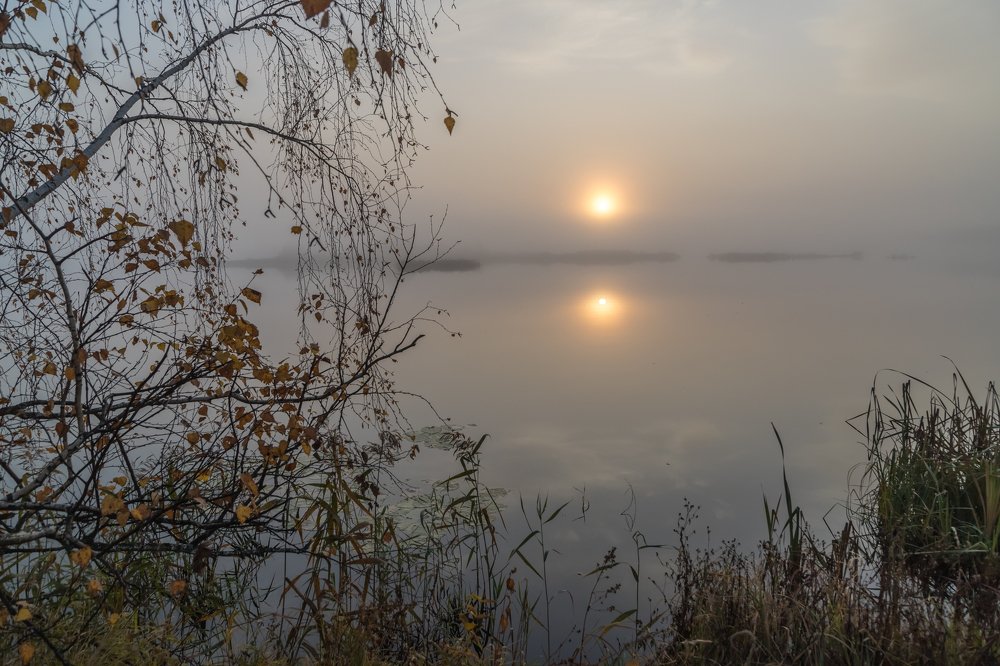 Photograph by Евгений Патрешов