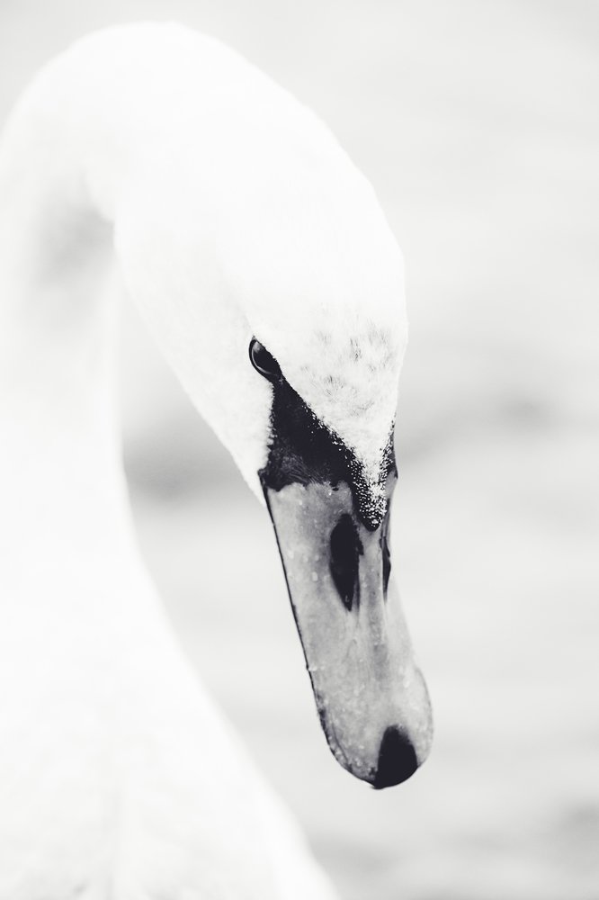 Фотография автора Евгения Кирпиченкова (Клипп)