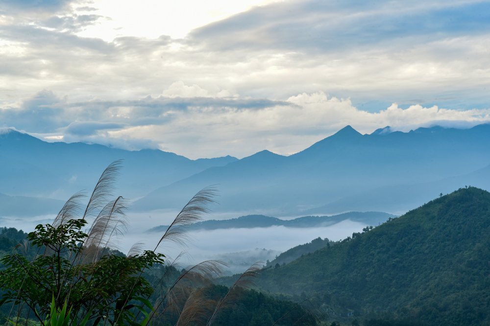 Photograph by Long Nguyen