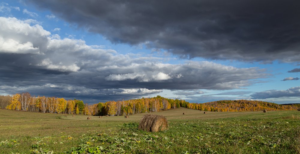 Осенняя палитра