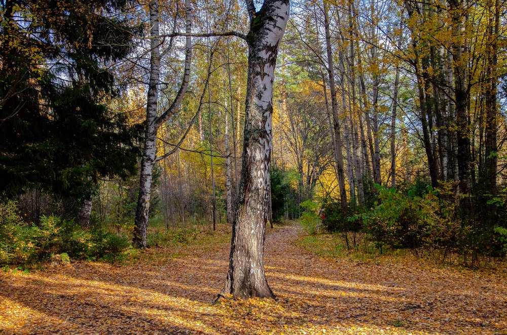 Photograph by Сергей Торхов