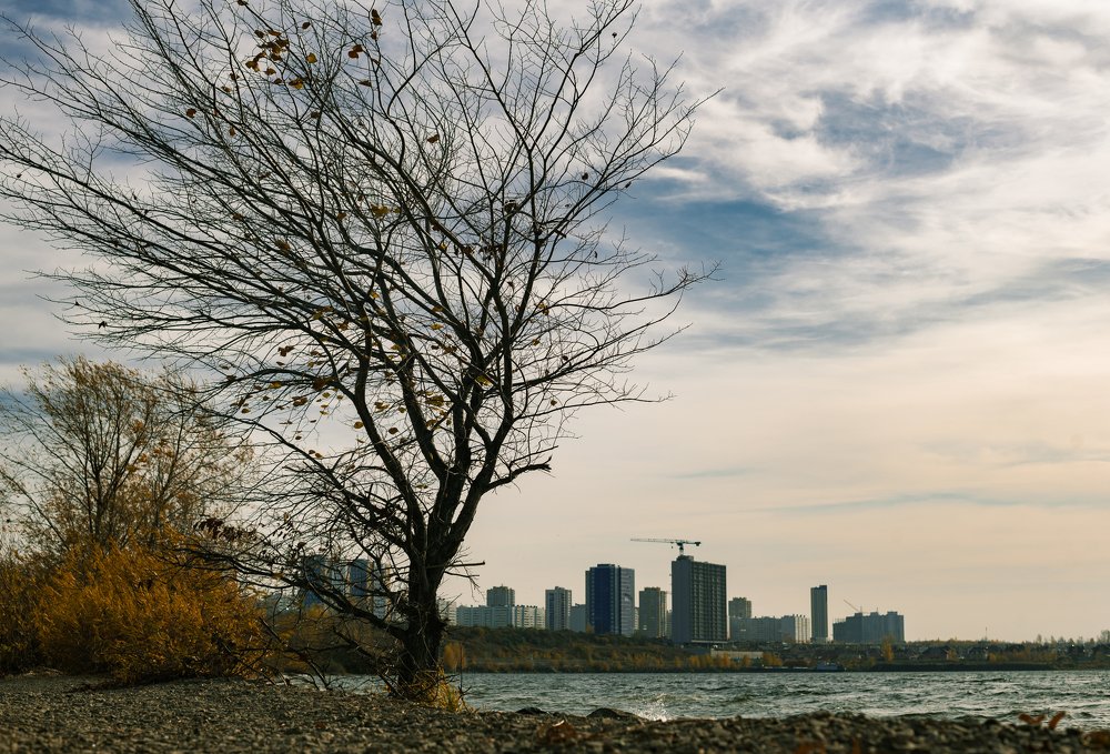 Photograph by Василий Клейменов