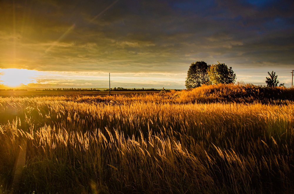 Photograph by Сергей Торхов