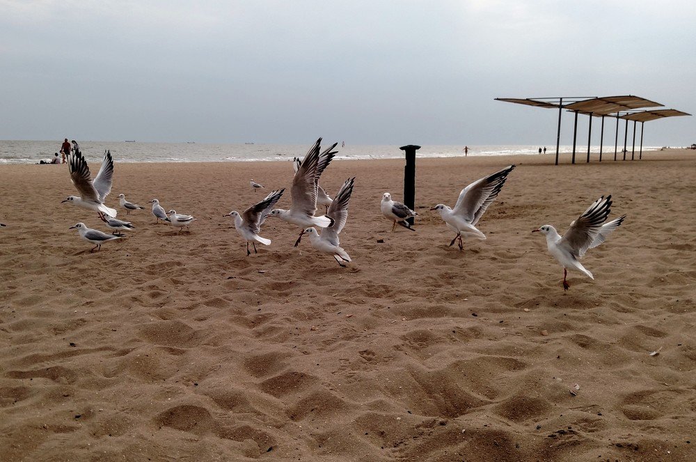 Photograph by Сергей Челахов