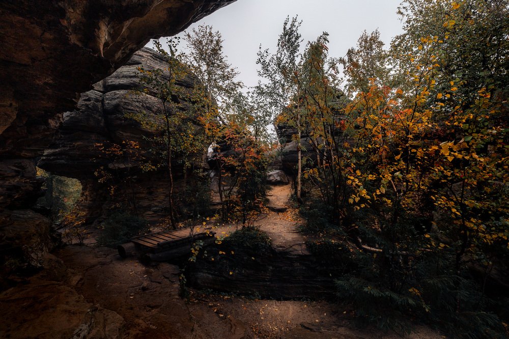 Photograph by Алексей Егорычев