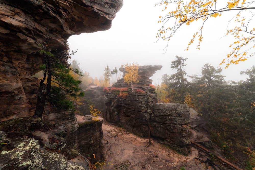 Photograph by Алексей Егорычев