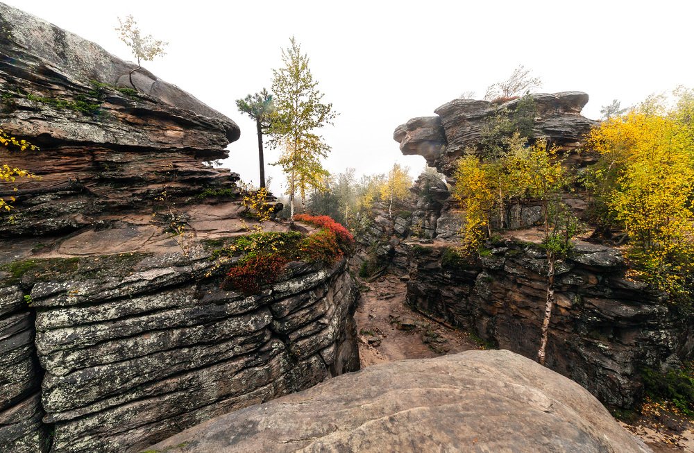 Photograph by Алексей Егорычев