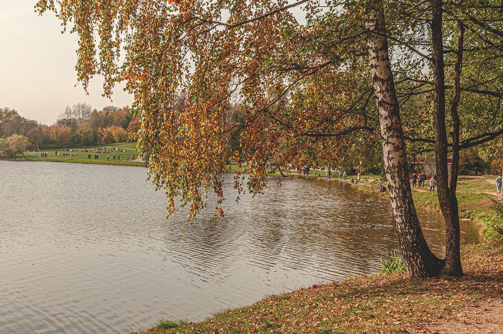 Photograph by 