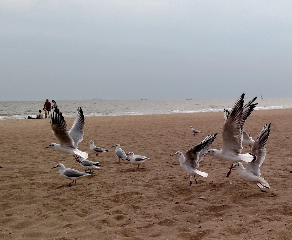 Photograph by Сергей Челахов