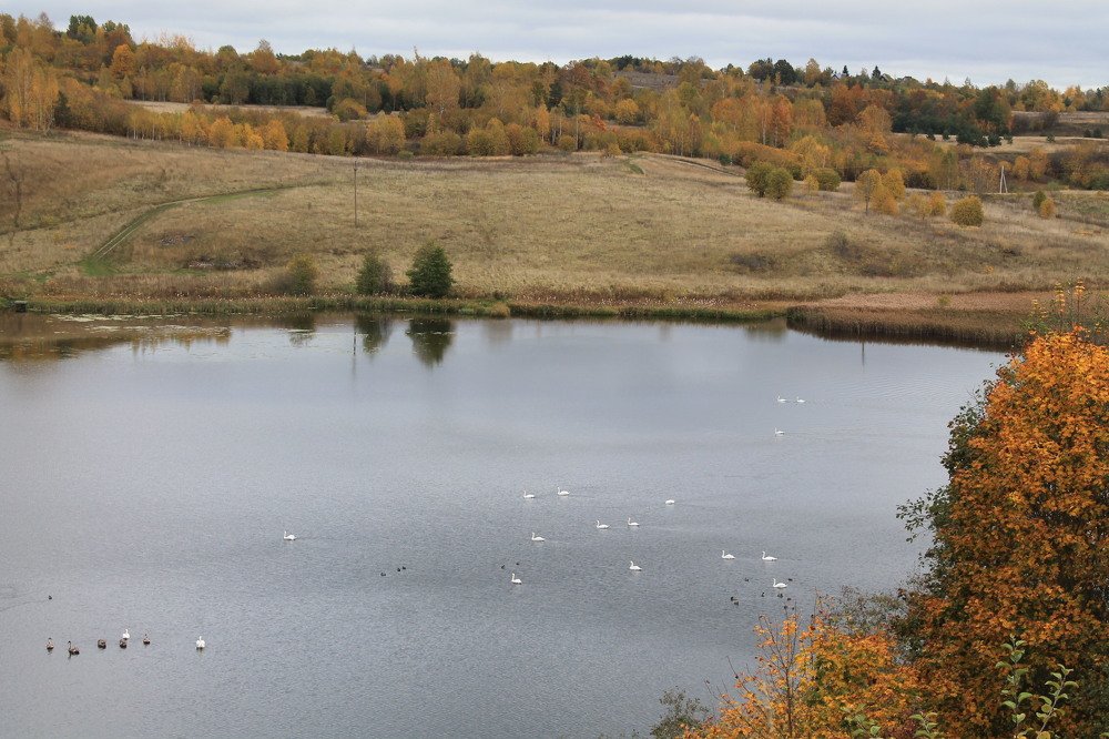 Photograph by Lora Skobeleva