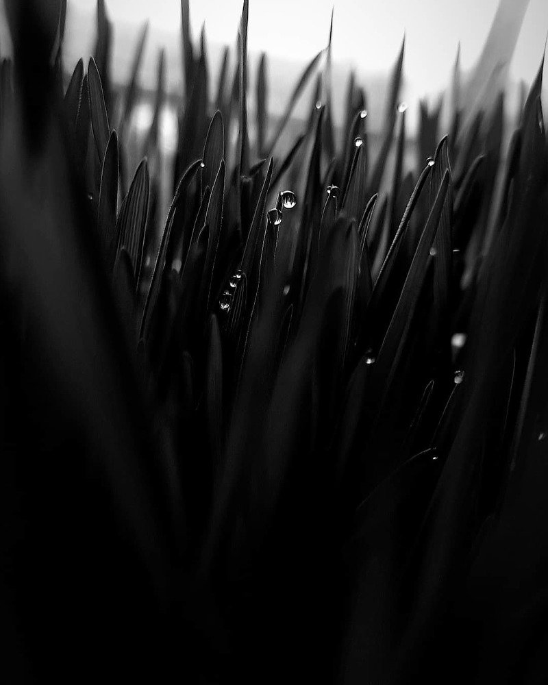 Photograph by Bhavika Saini