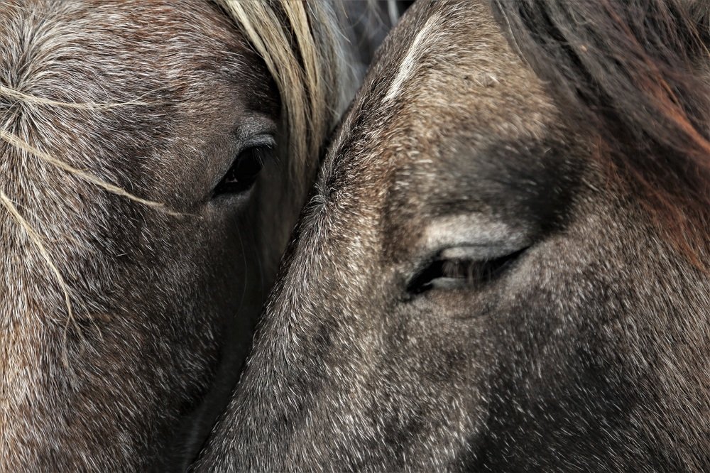 Photograph by Inga Butkovski