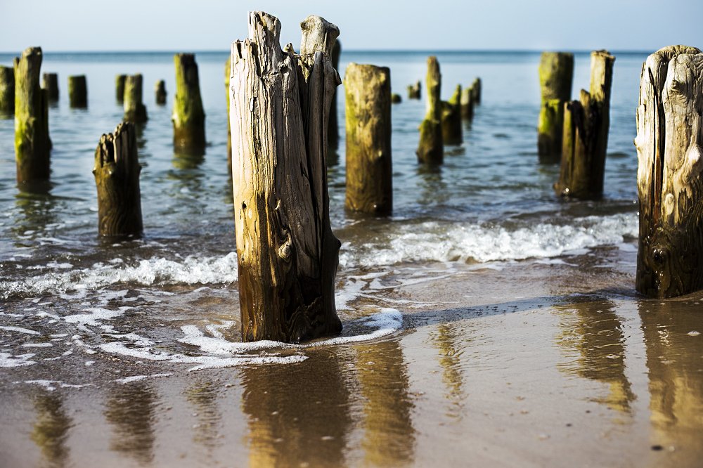 Photograph by ILONA KILA