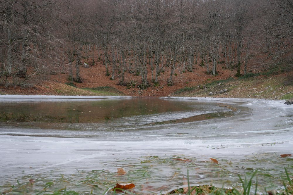 Photo #5051971