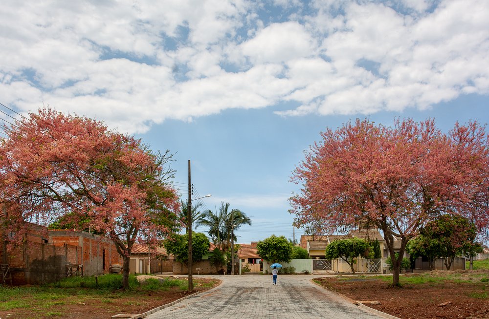 Photograph by Aparecido Donizete de Miranda
