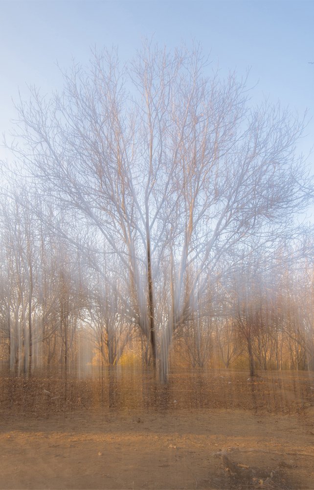 Photograph by mohamadreza shakibaei