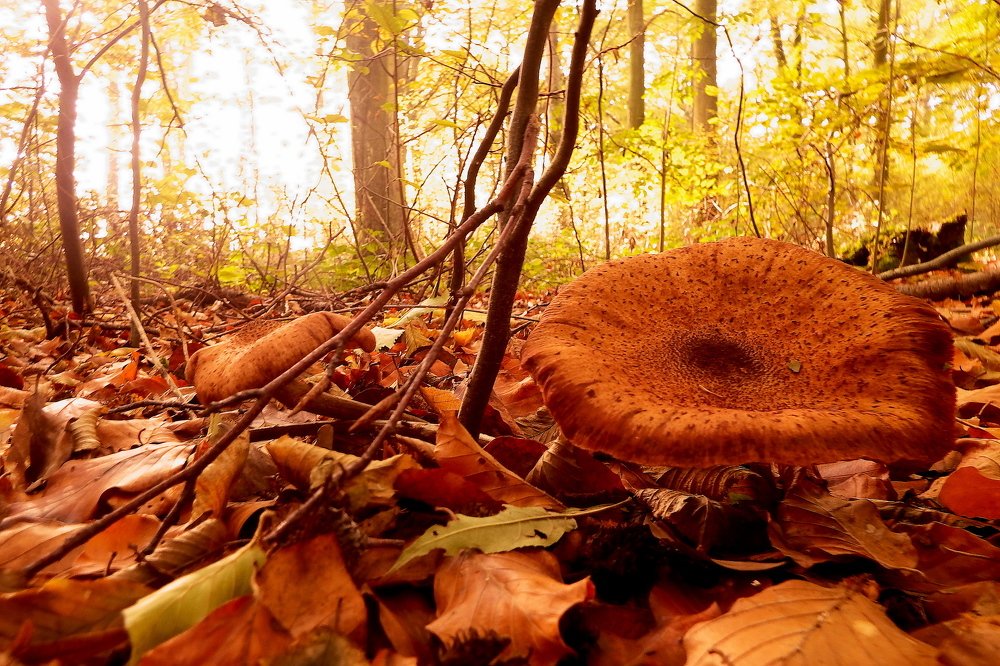 Photograph by Vitalii Kaznin