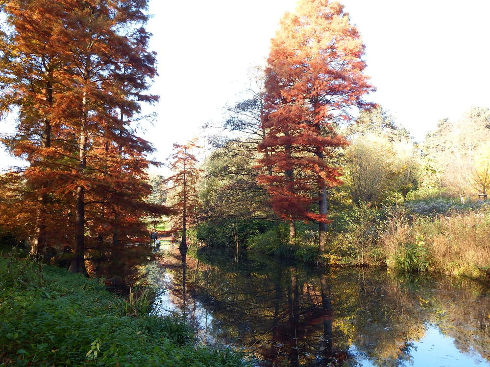 Photograph by Vitalii Kaznin