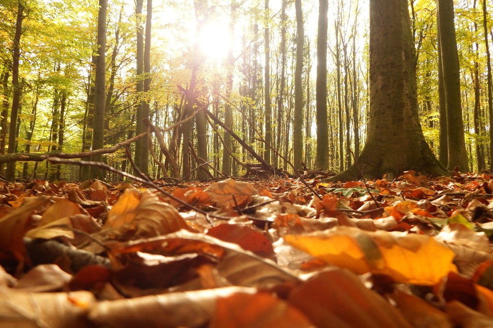 Photograph by Vitalii Kaznin