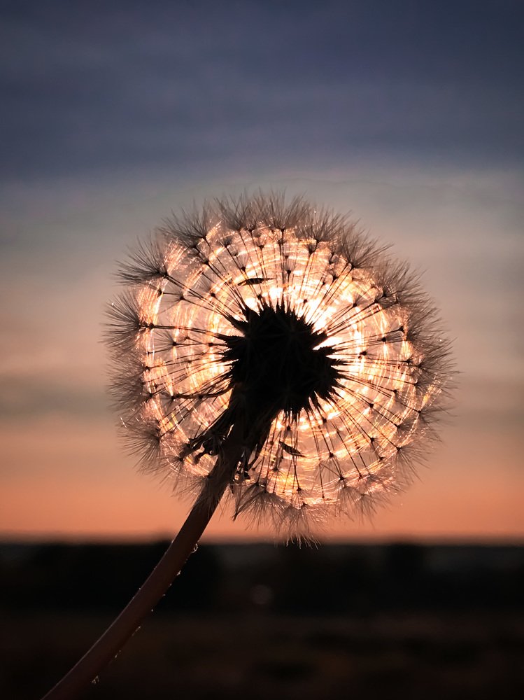 Солнышко в душЕ