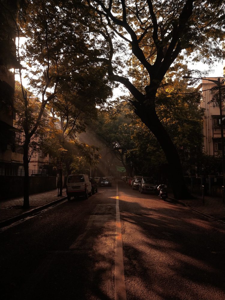 Photograph by PRATIK PALLEWAR