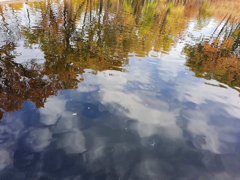 Photograph by Elena Khalizova