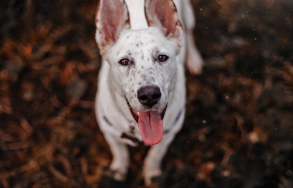 Photograph by Валерия Тейлор