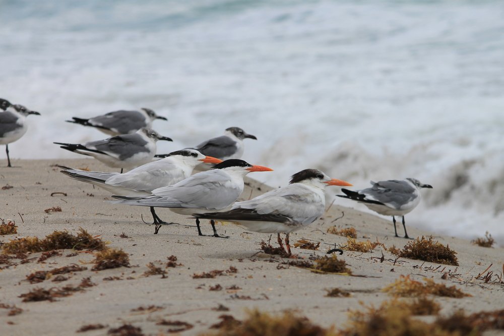 Photograph by Наталья Жигарева