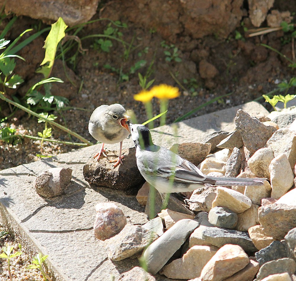 Photograph by Наталья Жигарева