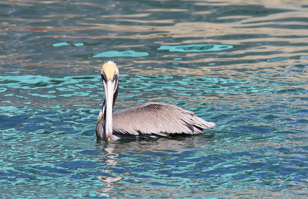 Photograph by Наталья Жигарева