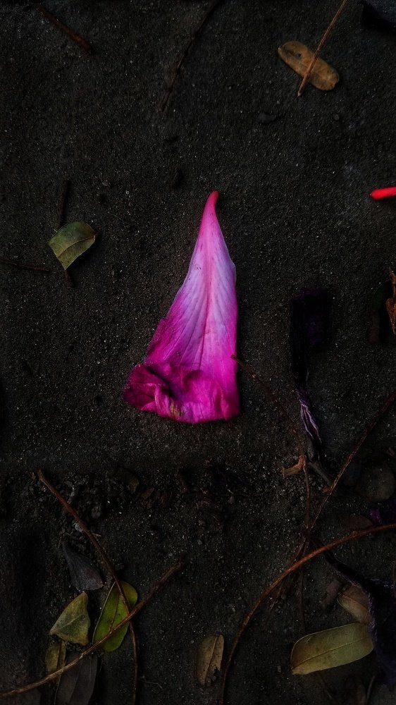 Photograph by  Subhradwip Ghosh