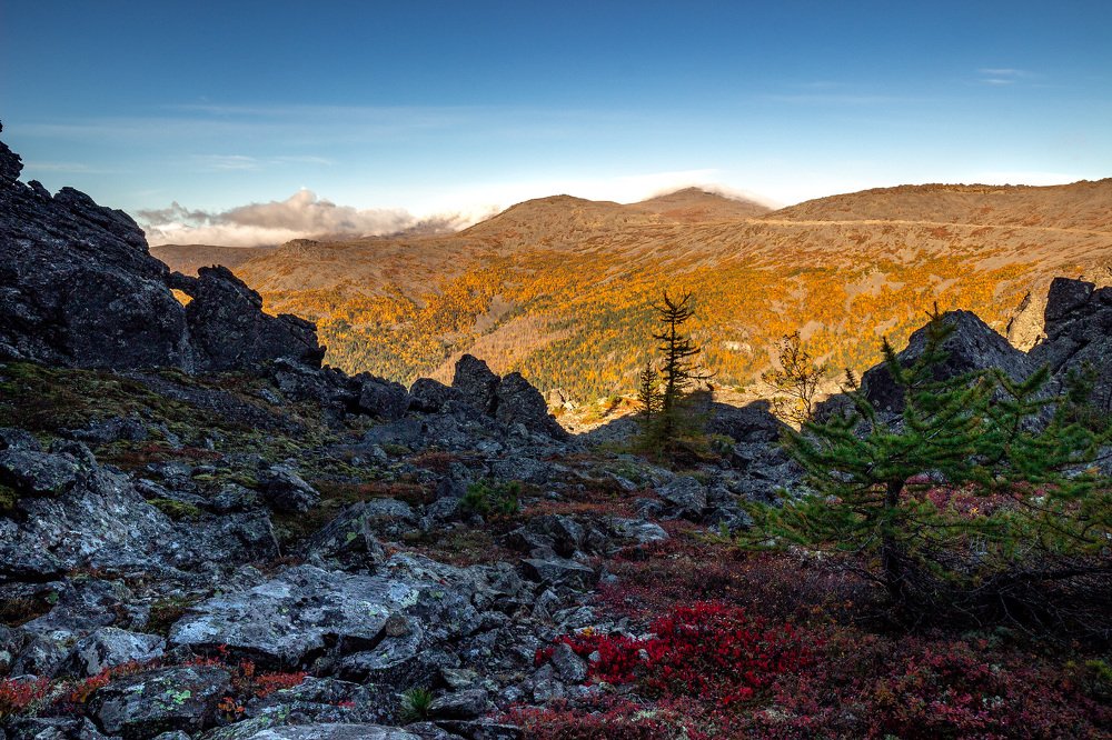 Photograph by Алексей Егорычев