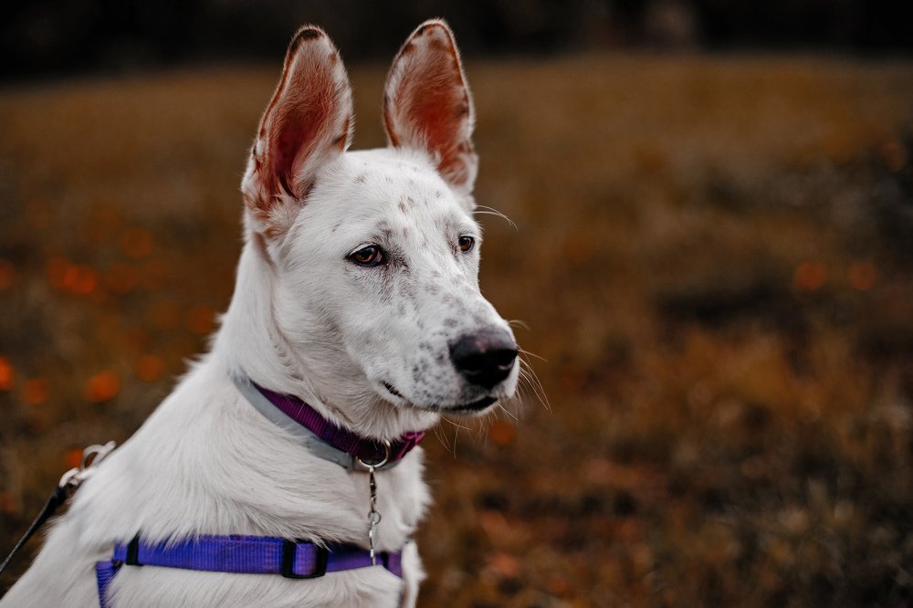 Photograph by Валерия Тейлор