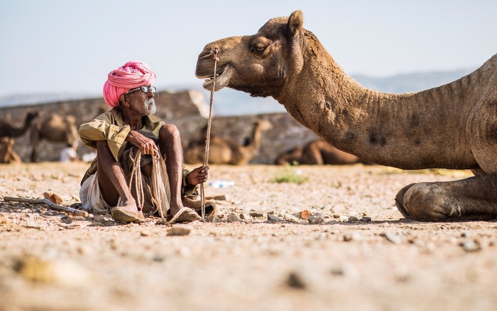 Photograph by GUFRAN KHAN