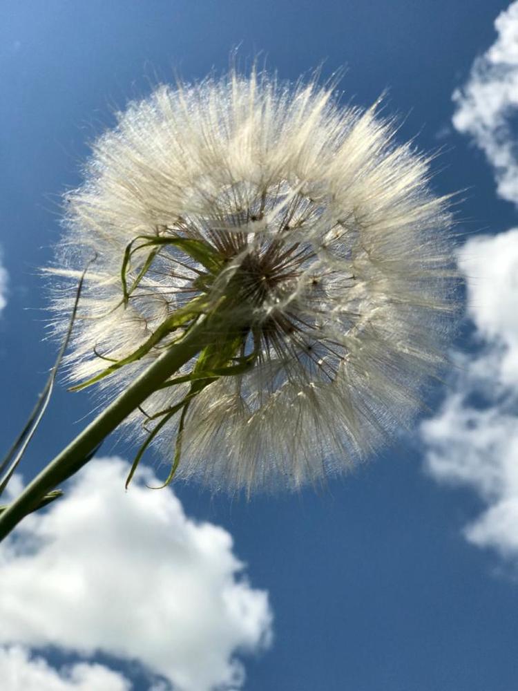 Photograph by Nastya