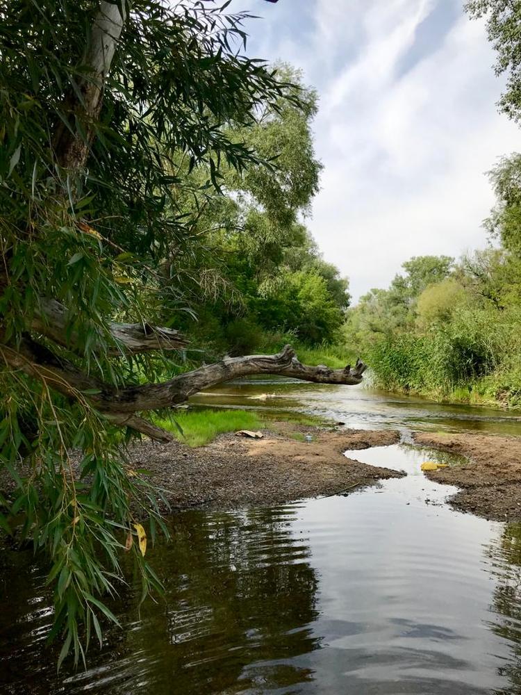 Photograph by Nastya