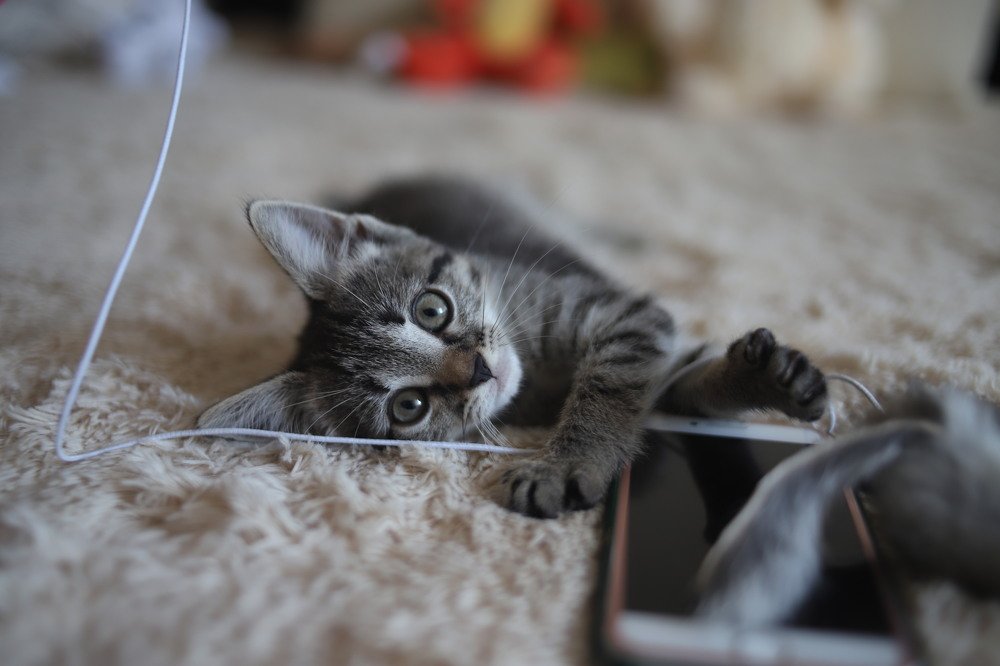 Photograph by Валерия Тейлор