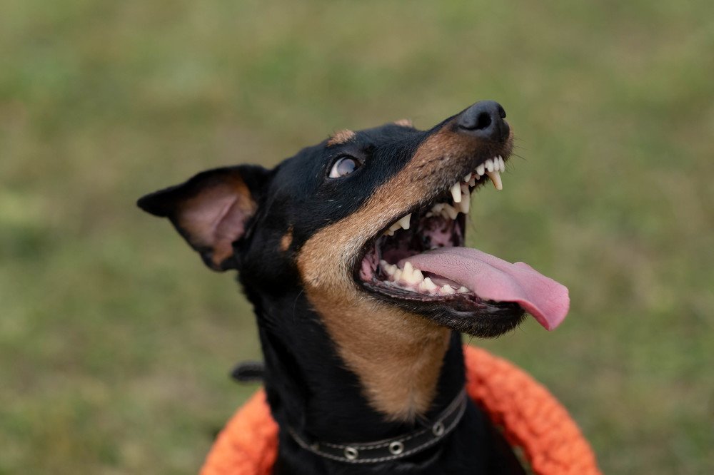 Photograph by Андриян Чаркин