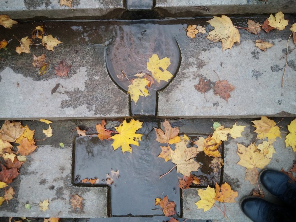 Photograph by Елена Амосова