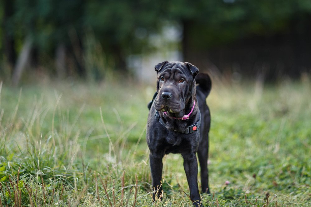 Photograph by Андриян Чаркин